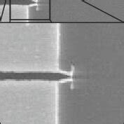 A Fabrication Process For Embedded SPP Waveguides B SEM Of A Ag In