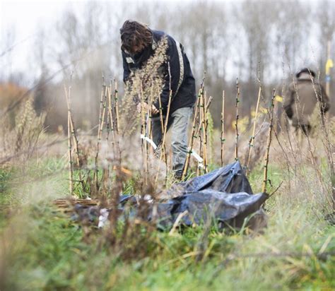 Home Stichting Voedselbosbouw