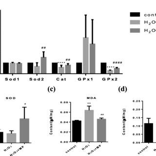 The Effect Of Millet On HFD Induced Oxidative Stress In The Rat