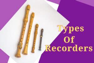 The Different Types of Recorder Instruments – Woodwind Breeze