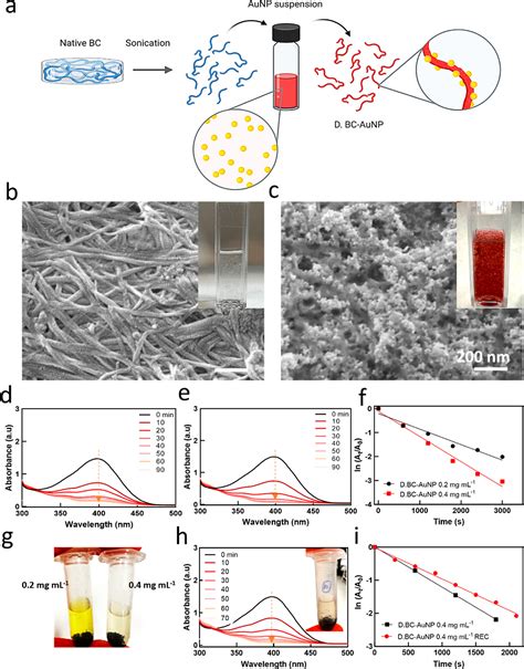 Self Assembly Of Metal Nanoparticles In Bacterial Cellulose For The Fabrication Of Soft