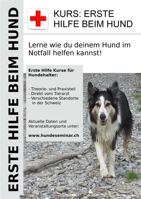 Erste Hilfe Kurs F R Hundehalter Gratis Inserate