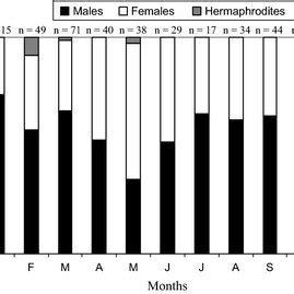 Seasonal Variation In Sex Ratio Of Diplodus Sargus Sargus During Study