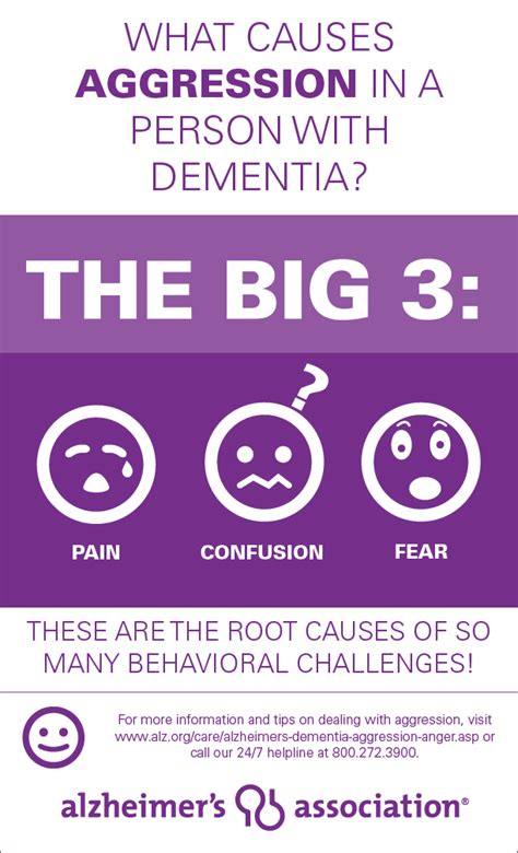 Caregiver Corner Infographic What Causes Aggression In A Person With