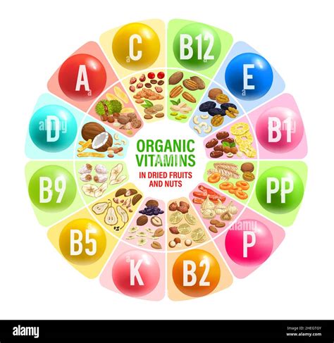 Dried Fruits And Nuts Vitamins And Multivitamins Chart Vector Table