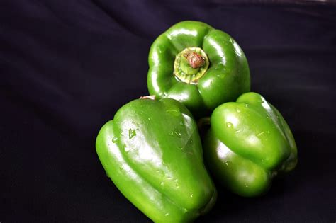 capsicum plants capsicum images pixabay