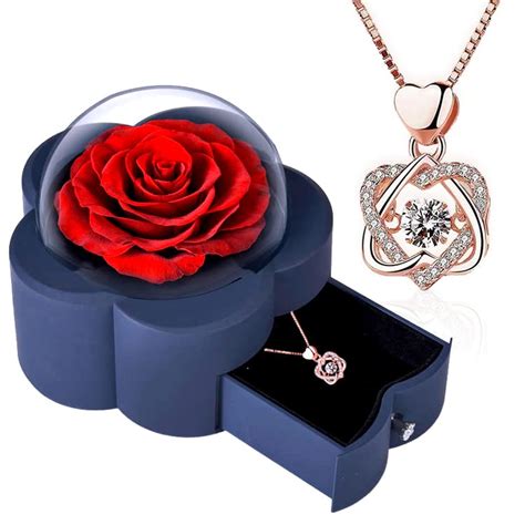 Preserved Red Real Rose With Light Luxury Style Silver Necklace