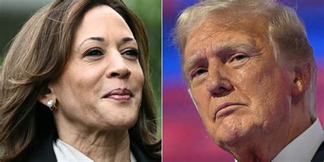 Kamala Harris Vs Donald Trump Qu Indican Las Nuevas Encuestas