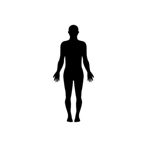 Human Body Vector Silhouette