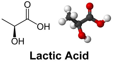 Acid Lactic L G Li U Acid Lactic C Gi P L N Da Tr Ng Nh S A