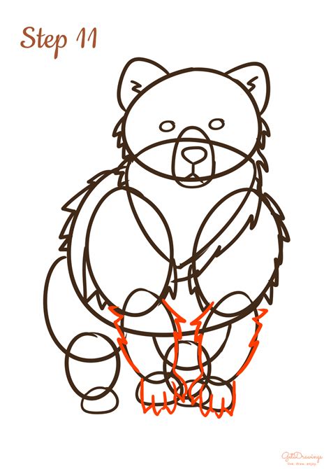 How To Draw A Bear Step By Step