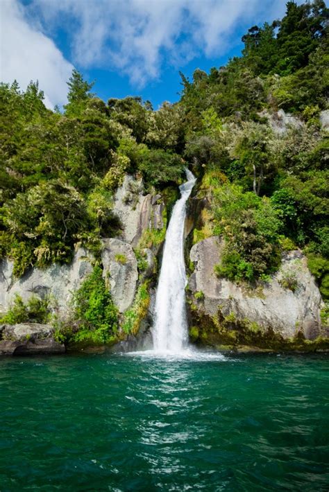 Profundidad Selva Escultura Aguas Dulces Informacion Guerrero