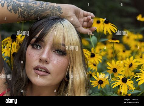 A Lovely Brunette Model Poses In A Field Of Yellow Flowers While