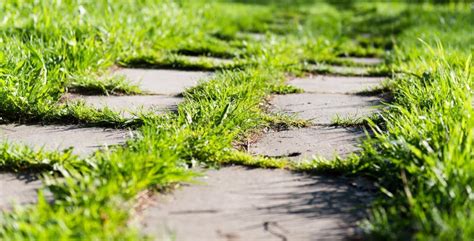 Footpath On Th Green Grass Stock Image Image Of Landscaped 32658025