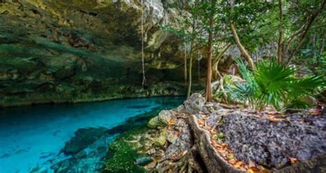 Visit The Beautiful Cenote Dos Ojos Tulum