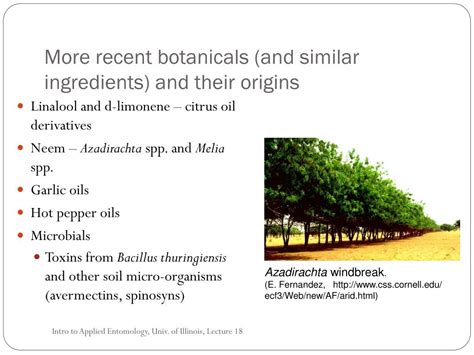 Ppt Modes Of Action And Target Pests For Insecticides Powerpoint