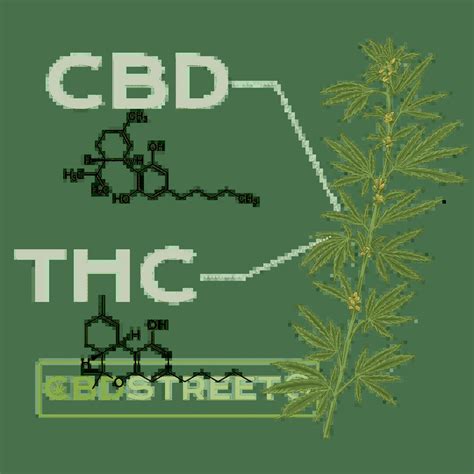 Les Différences Entre Cbd Et Thc Guide Du Cbd Cbdstreet