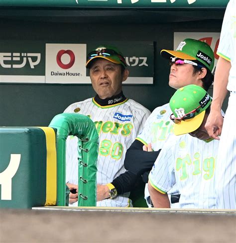 【阪神】球団史上最低チーム打率、12球団最少本塁打、救援防御率も大幅に悪化 交流戦データ プロ野球写真ニュース 日刊スポーツ