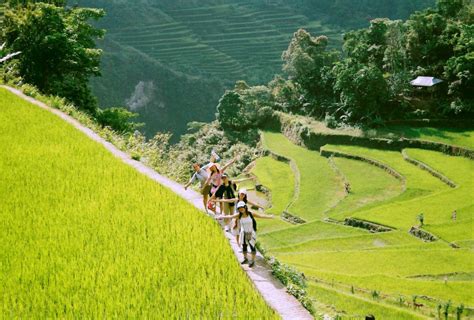 The 2000 Year Old Ifugao Rice Terraces A True Staircase To Heaven Philippines Lifestyle News