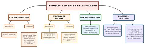 I RIBOSOMI E LA SINTESI DELLE PROTEINE Mappa E Riassunto