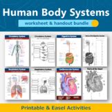 Endocrine System Diagram Worksheet And Handout Human Body Systems