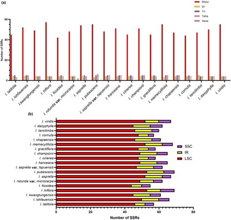 Classification Of Simple Sequence Repeats Ssrs In The Chloroplast