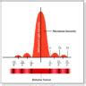 Single Slit Vs Double Slit Diffraction A Comprehensive Comparison