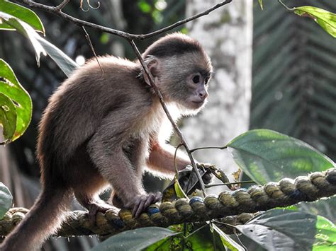 How to get up close to Colombian animals | Colombia Travel