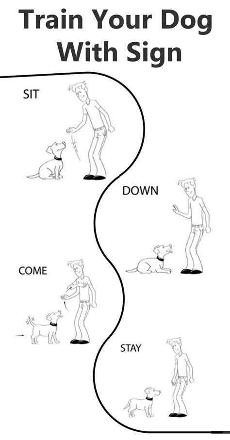 Best 13 How to Train a Deaf Dog Hand Signals and Sign Language – Artofit
