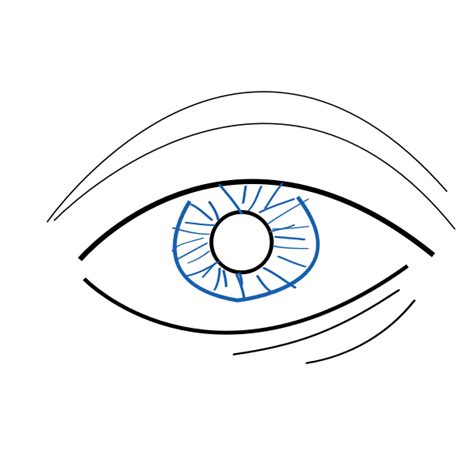 Outline vector illustration of eye | Free SVG