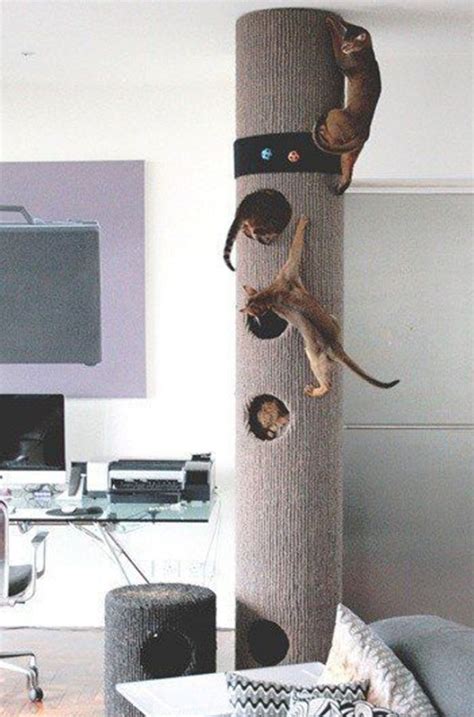 30 Modern Diy Cat Playground Ideas In Your Interior Home Design And