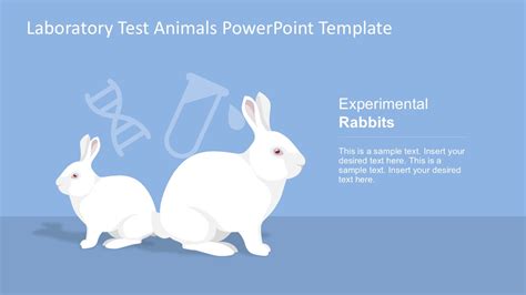 Experimental Rabbits For Powerpoint Slidemodel