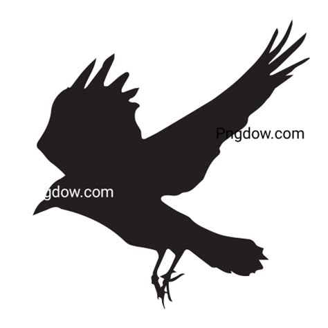 Flying Raven Silhouette Art - Photo #14140 - Pngdow - Millions of ...