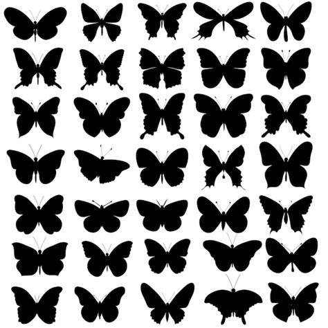 Colecci N De Silueta De Mariposa Aislada Vectorial Vector Premium