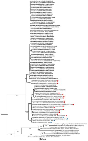 Viruses Free Full Text Genetic Characterization And Pathogenesis Of H5n1 High Pathogenicity