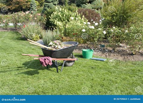 Rose Garden and Gardening Tools Stock Image - Image of sunny, lawn ...