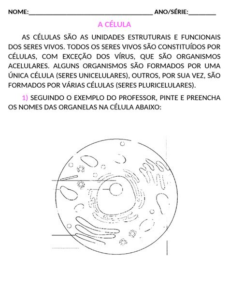 Atividade Adaptada Sobre Celulas - Atividade sobre Células para 6º Ano | PDF