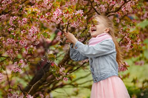 Une Fille Blonde Mignonne Sourit Sur Un Fond Des Bu Roses De Sakura Image Stock Image Du Beau