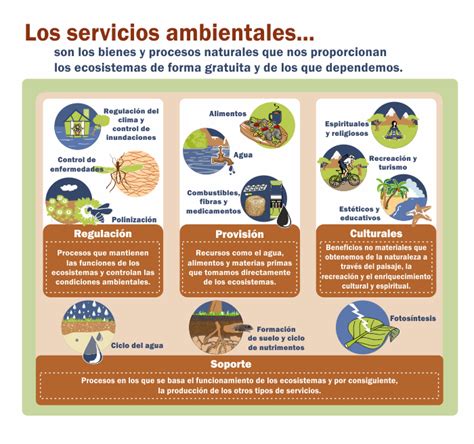 Infografías Ambientales