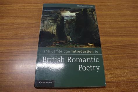 傷や汚れあり 01 The Cambridge Introduction to British Romantic Poetry