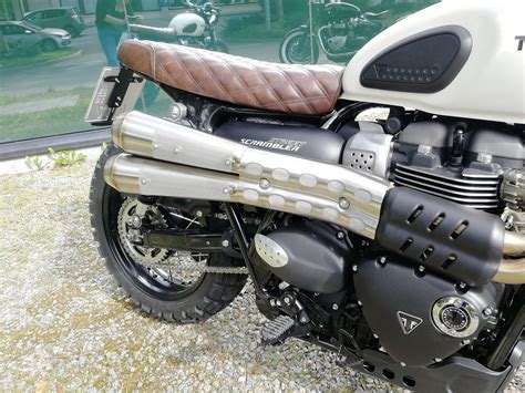 Details zum Custom Bike Triumph Street Scrambler des Händlers Triumph