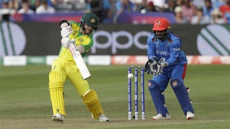 Cricket Australia Postpones T20 Series Against Afghanistan Over