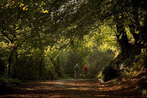 This Is Why We Love Cornwall When The Clocks Go Back Cornwall Live