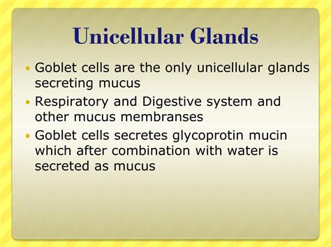 Ppt Epithelial Tissue Powerpoint Presentation Free Download Id 1756164