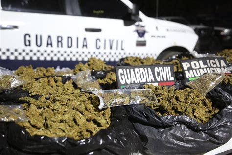 Decomisa Guardia Civil 20 Kilos De Marihuana Y 68 Dosis De Metanfetamina