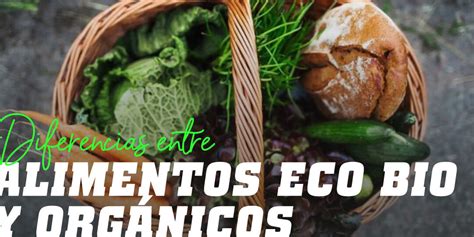 Diferencia entre orgánico ecológico y biológico Guía completa eco360