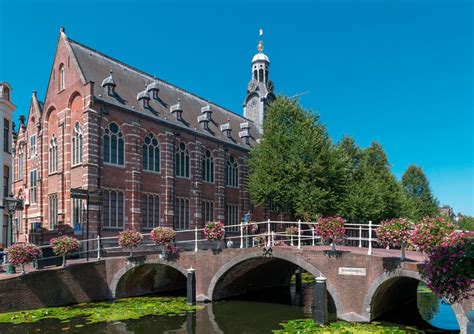 Universidad De Leiden Historia Del Currículum Timeline Timetoast