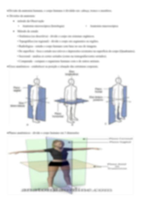 Solution Apostila De Anatomia E Fisiologia Humana Conceitos B Sicos