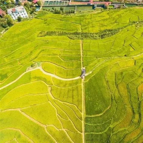 【市县亮点】今日关注西安、宝鸡、榆林、安康、韩城农业农村马登峰