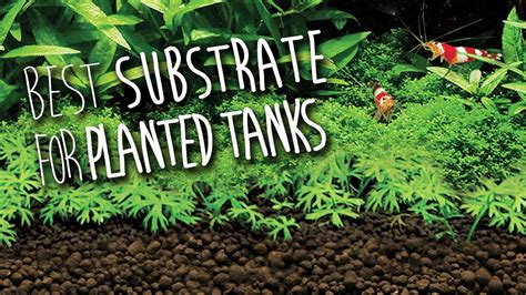 Fluval Stratum Substrate For Planted Aquariums Fluval Aquatics Uk